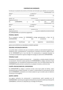 Modelo de contrato de comodato en Perú